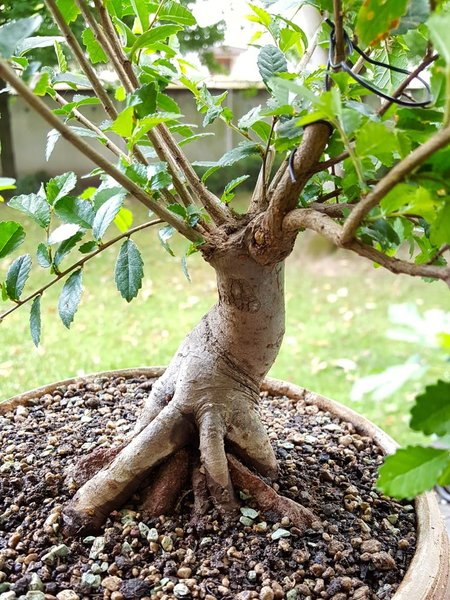 20180625_120748.jpg