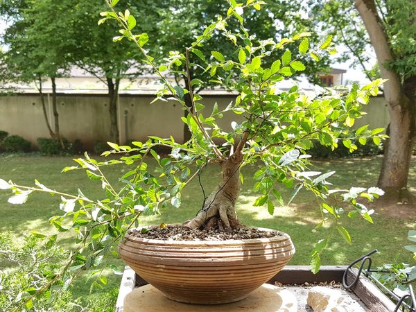 20180625_144729.jpg