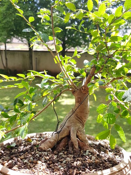 20180625_151411.jpg