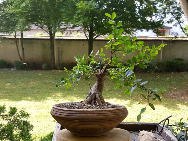 20180626_104255.jpg