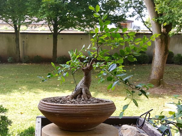 20180626_104320.jpg