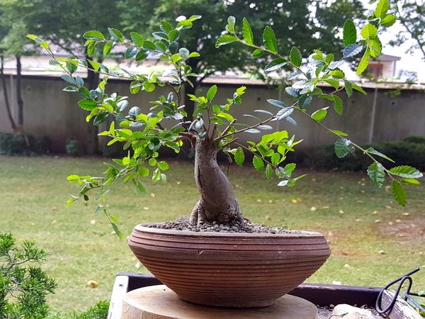 20180626_104421.jpg