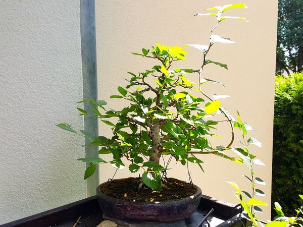 20180630_125711.jpg