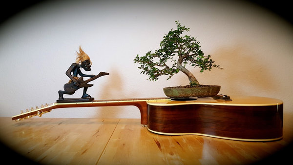 Schutzgeist mit Chinesischer Ulme auf einer YAMAHA Gitarre ;-)