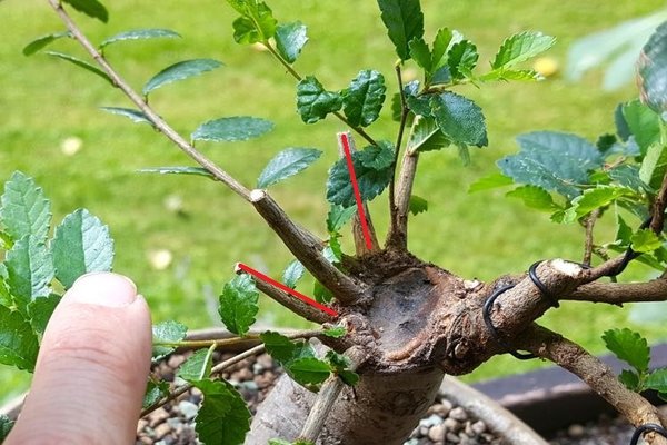 20180626_104522.jpg