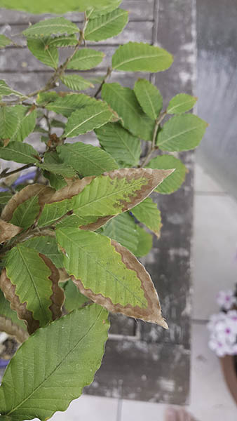 20180705_181423.jpg