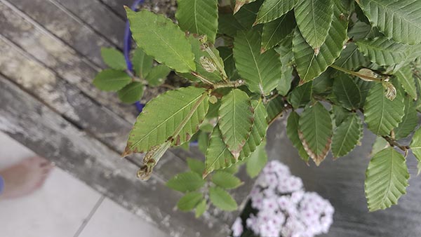 20180705_181438.jpg