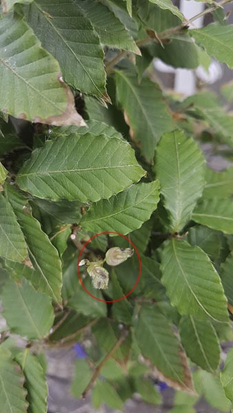 20180705_181448.jpg