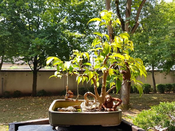 20180707_115145.jpg
