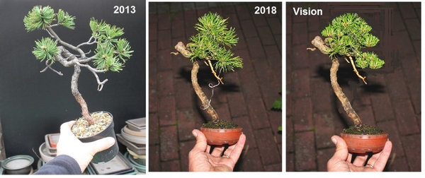 uncinata 2013-2018.JPG