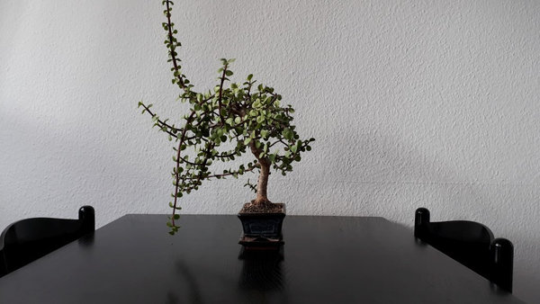 von links