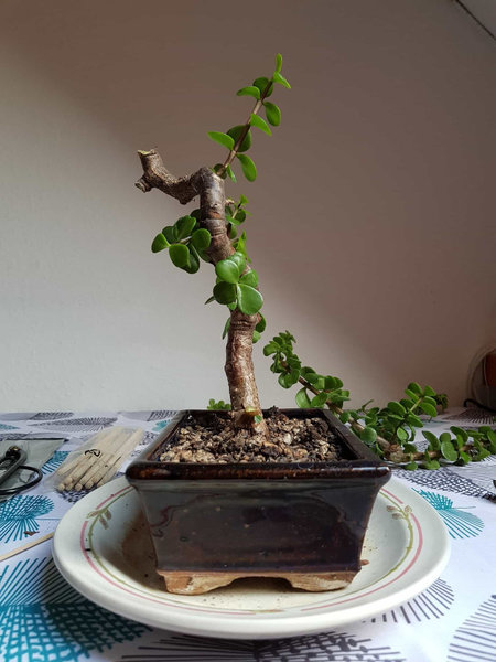 20180715_143721-min.jpg