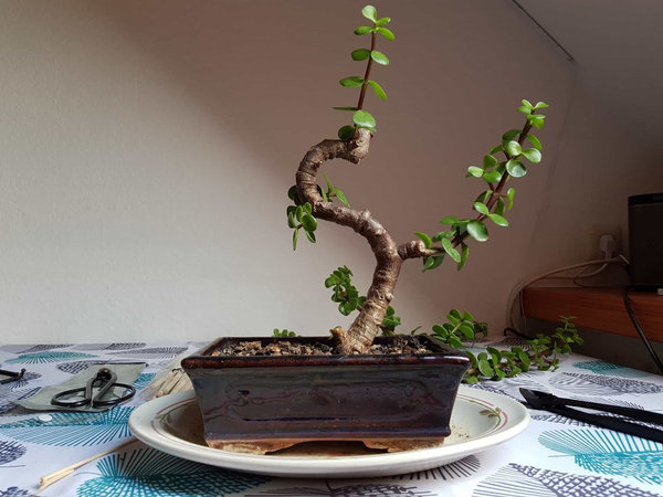 20180715_143730-min.jpg