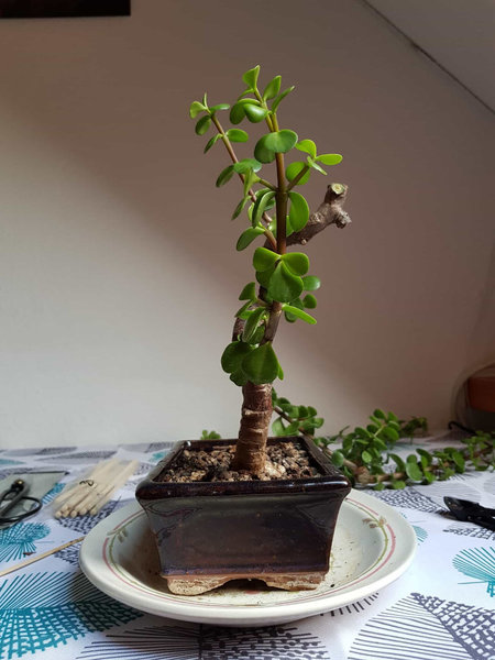 20180715_143737-min.jpg