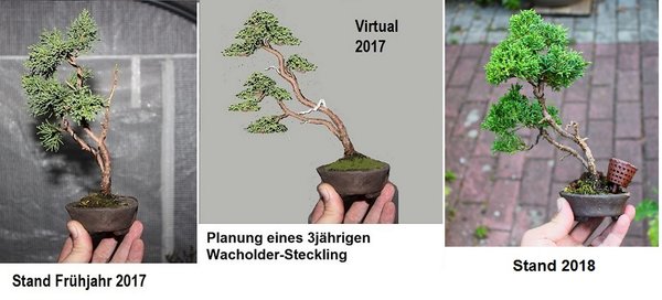 wach st1 2018.JPG