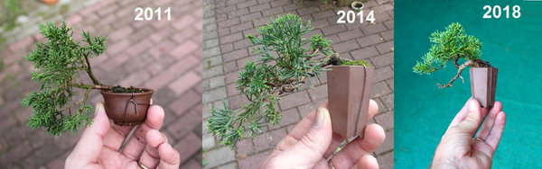 wach st2 2011-2018.JPG