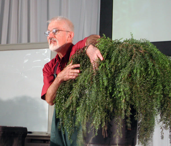 vor der Gestaltung