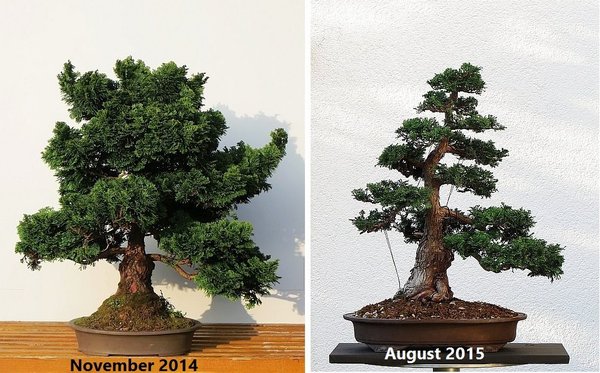2014-2015.jpg