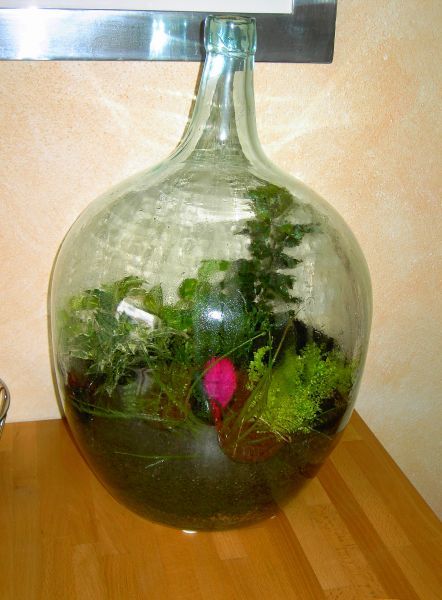 new_Flaschengarten.jpg