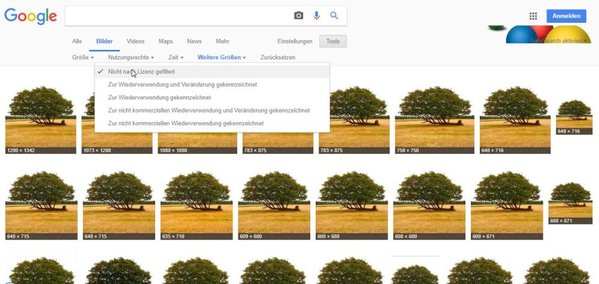 Bild - Google-Suche_1.jpg