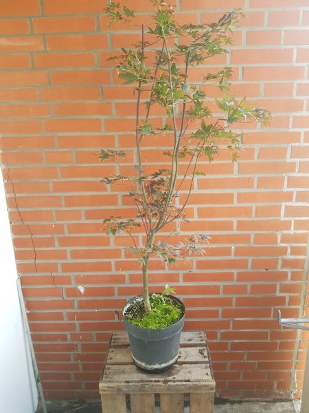 20180804_144144.jpg