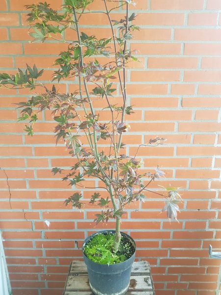 20180804_144204.jpg