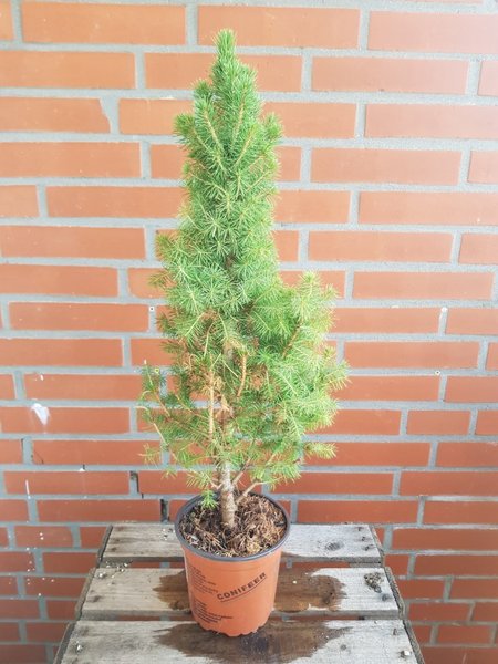 20180804_144231.jpg