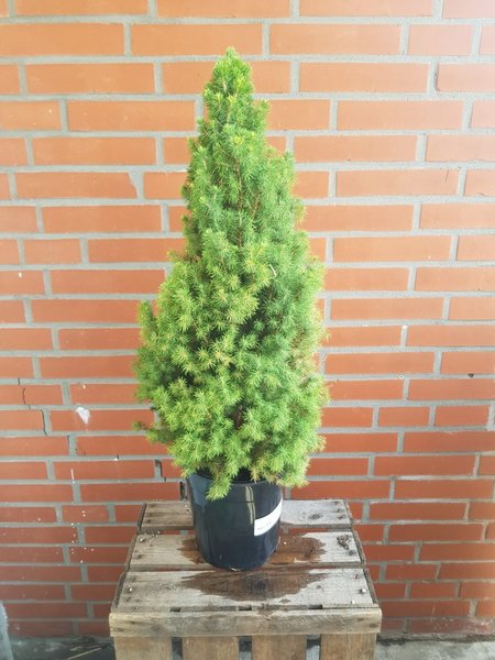 20180804_144313.jpg