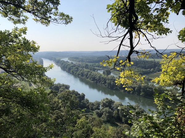 Donau und Kanalschlinge bei Oberndorf