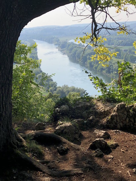 2018-08-05 09.27.52.jpg