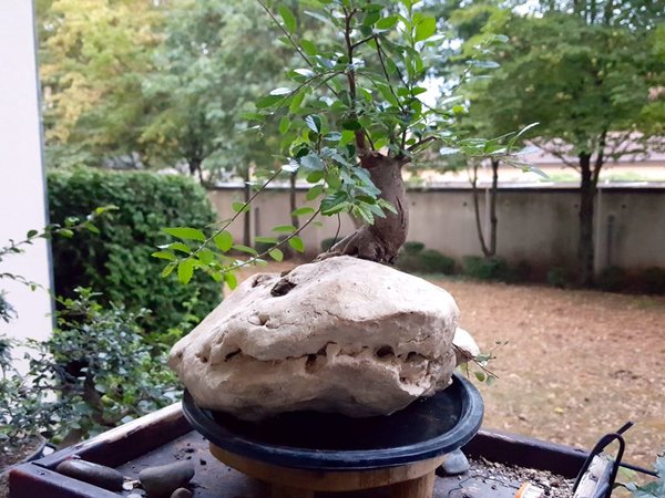 20180817_203247.jpg