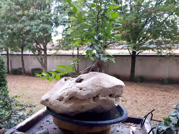 20180817_203259.jpg