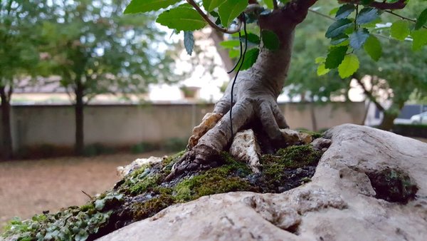 20180817_203317.jpg