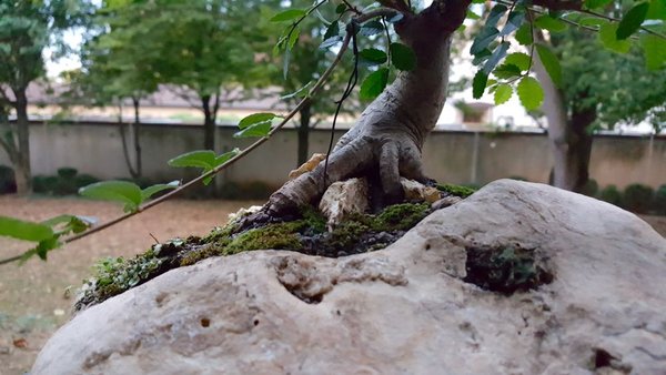 20180817_203348.jpg