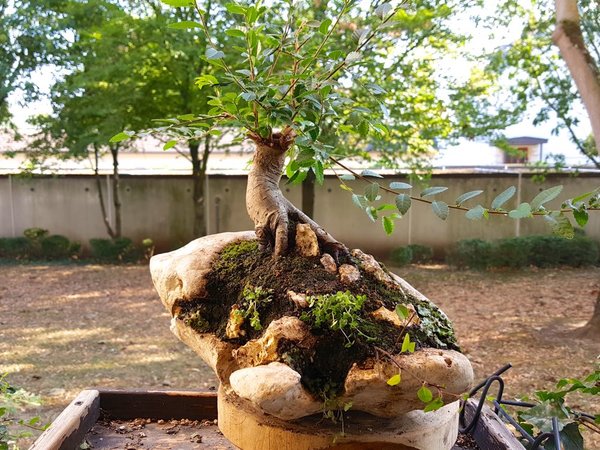 20180818_173442.jpg