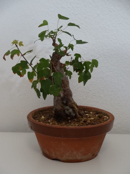 DSC01143.JPG