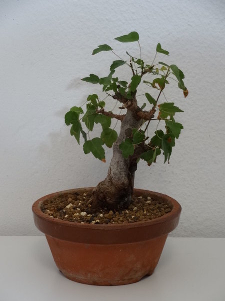 DSC01145.JPG