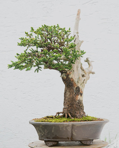 2015-05-SAL_1410w.jpg