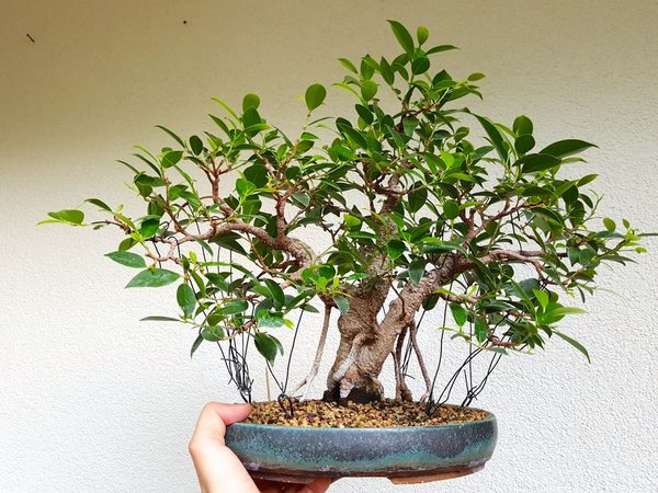 20180830_090521.jpg