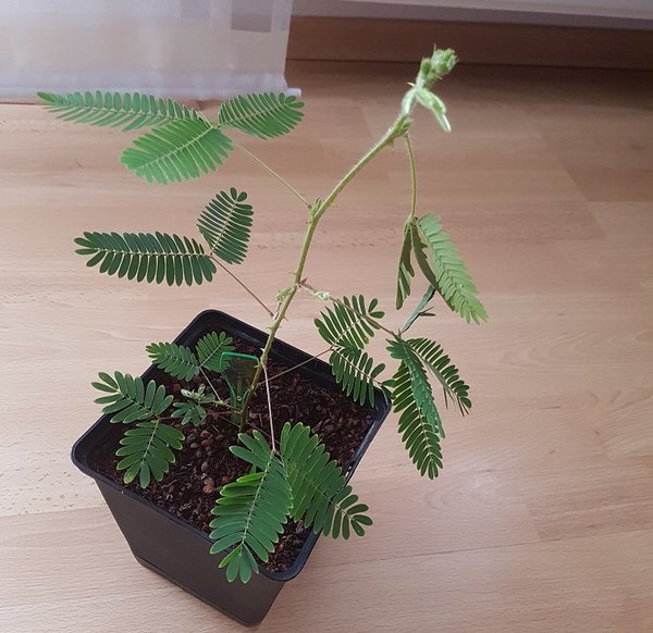 20180830_184808.jpg