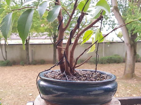 20180902_162114.jpg