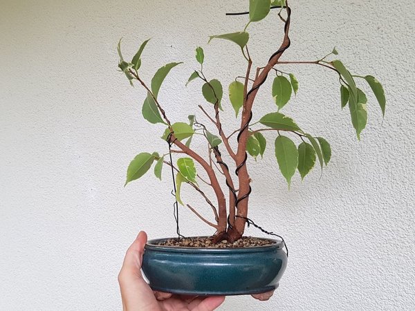 20180902_162141.jpg
