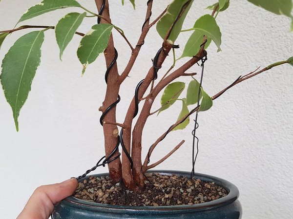 20180902_162204.jpg