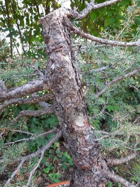 DSCN0934.jpg