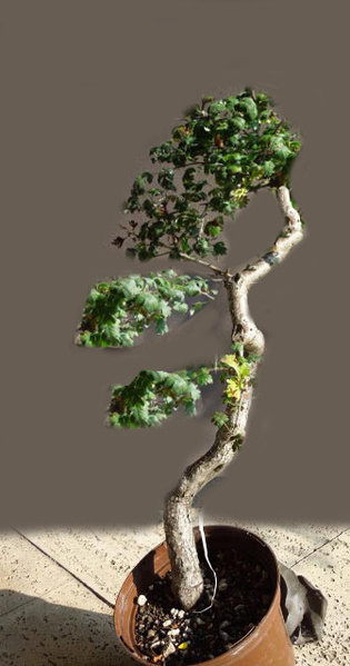 file-1.jpg
