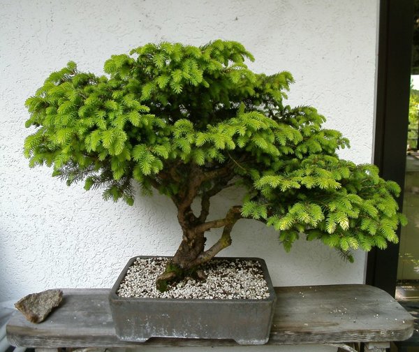 Mai 2017