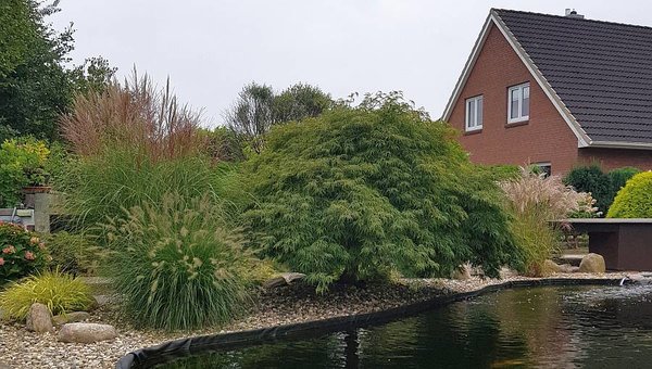 20180910_171113.jpg