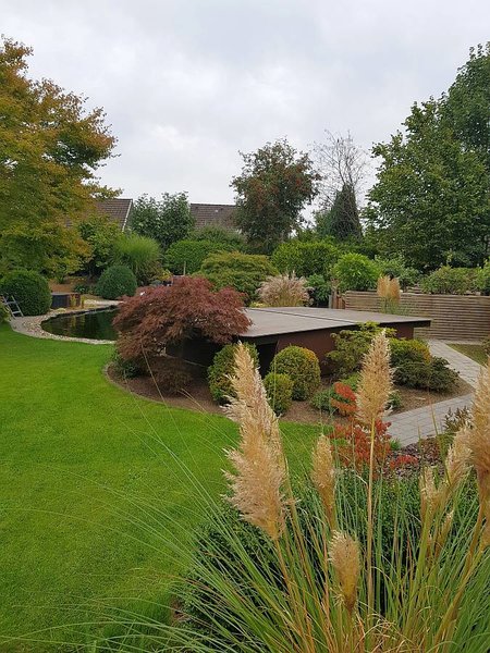 20180910_171157-1.jpg