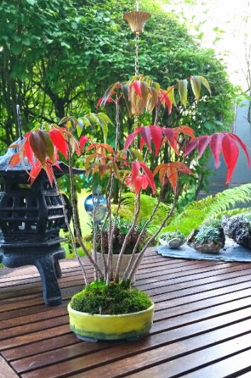 2018-09-20 10.10.59.jpg
