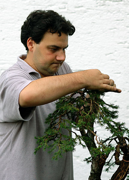 Dsc_5261v.jpg
